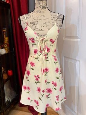 Forever 21 Cream Floral Tie Dress